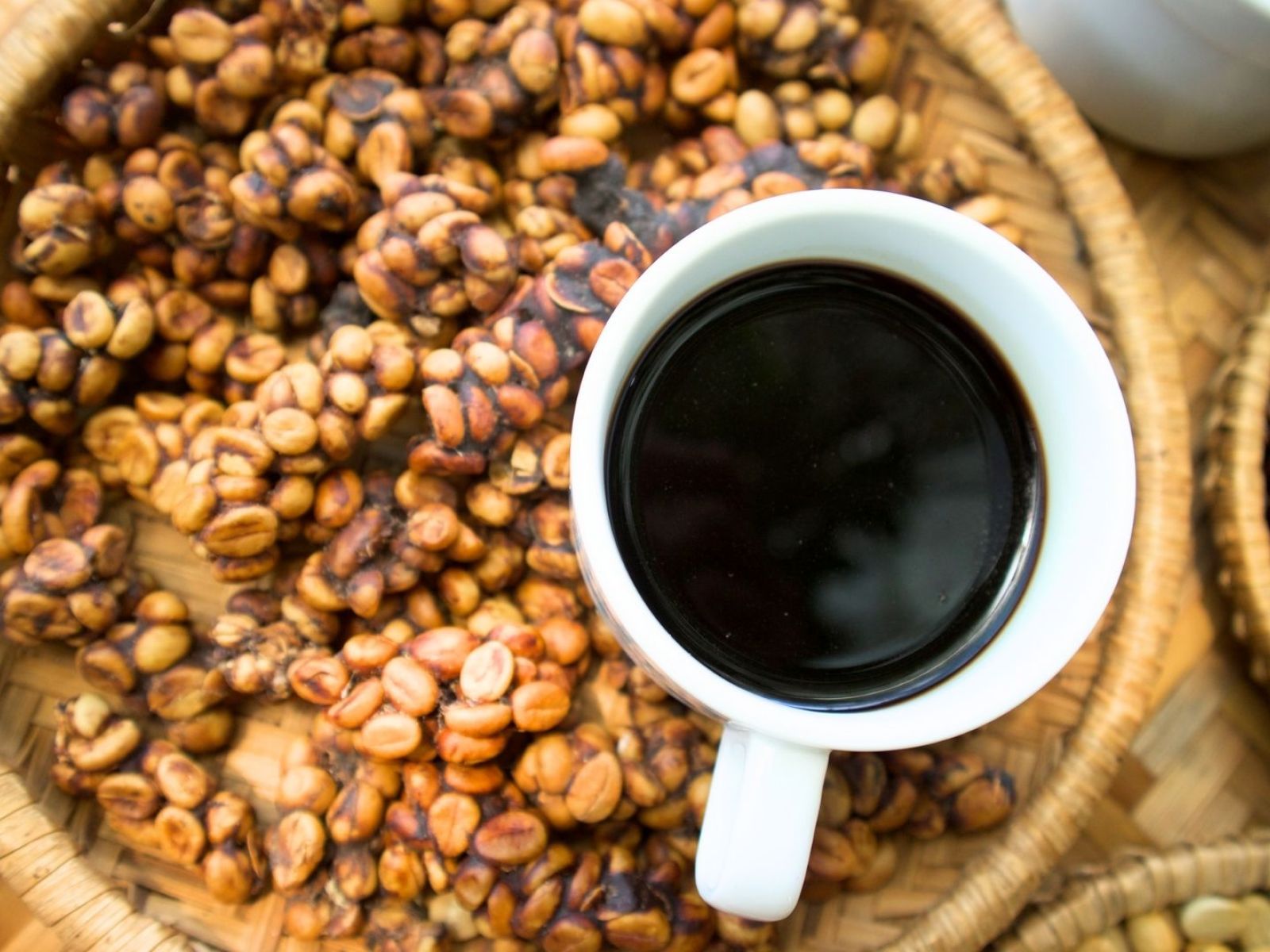 Копи Лувак Kopi Luwak